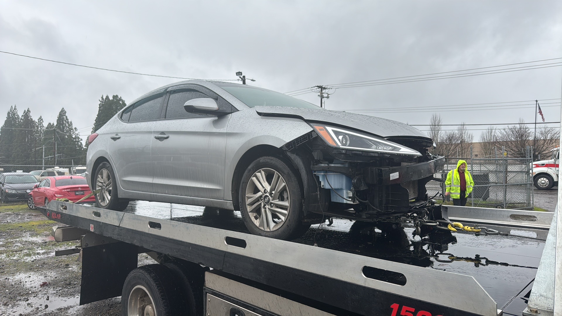 Camel_Towing