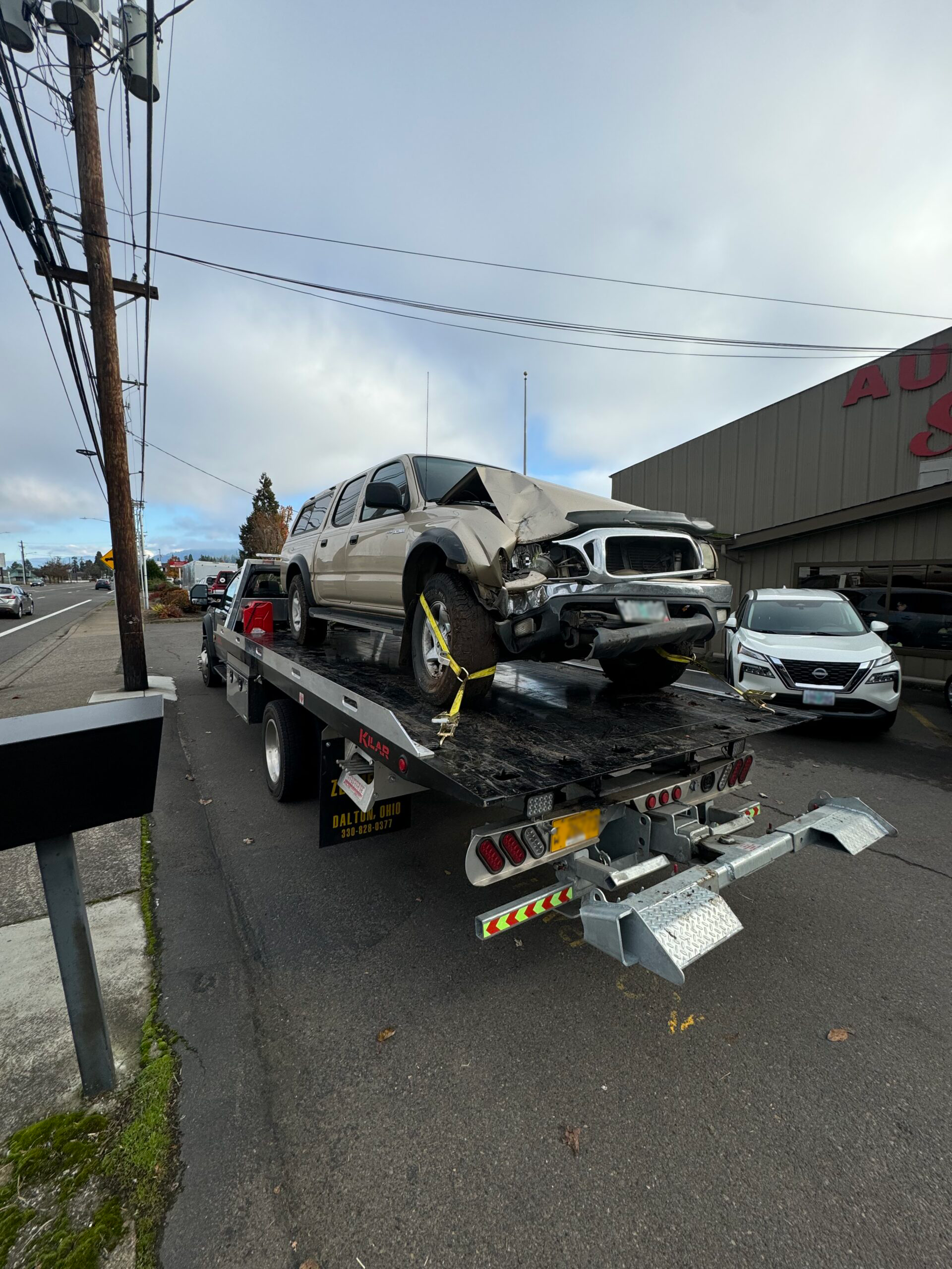 Camel_Towing